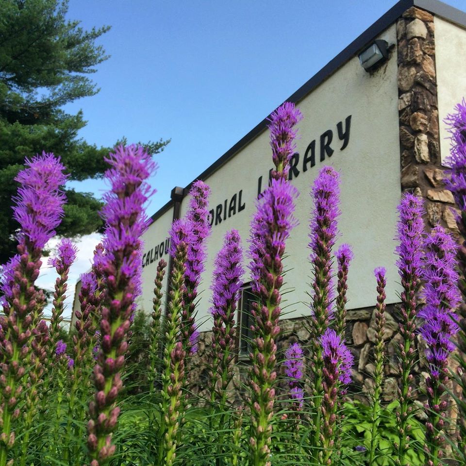 Calhoun Memorial Library summer flowers