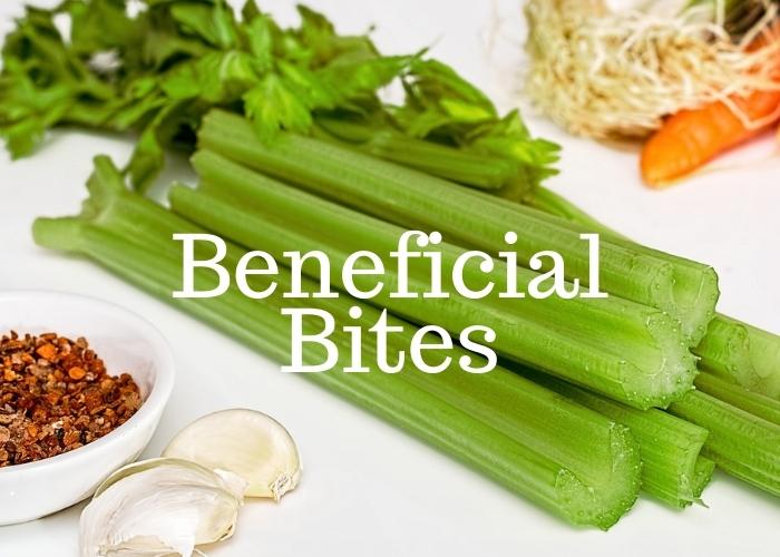 Beneficial Bites: Recipe tasting with the ADRC
