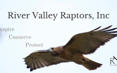 River Valley Raptors